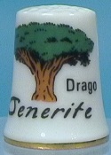 DRAGO MILENARIO 16M DE ALTURA